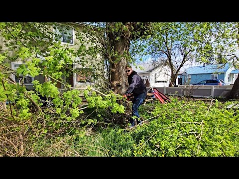 A FREE Multi-Day CLEANUP Left This Family SPEECHLESS But I Suprised Them With Even MORE