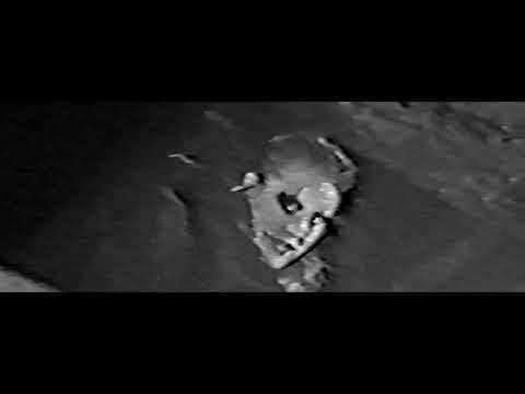 PREMIERE: Black Dahlia - Semantic Satiation