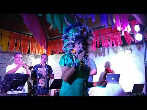 BLOG DA FELICIDADE -  INSTAGRAM -  NÁDIA MAIA -  PAUTA CAINDO 2019