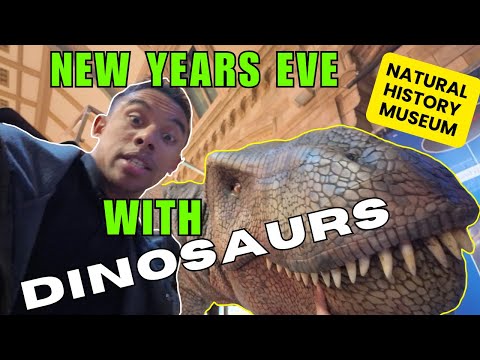 New Years Eve At The Natural History Museum With Dinosaurs
