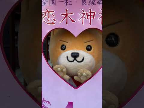 『はね丸がみんなの恋を応援するまーるっ💛』(久留米大学×八女高校×筑後市コラボPR動画)