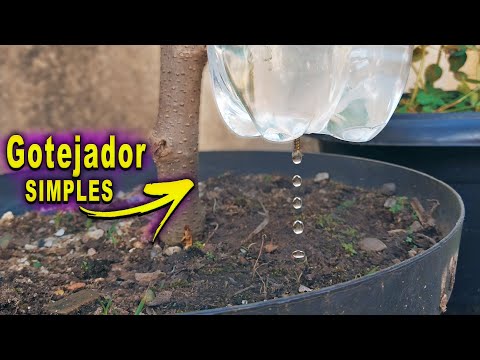 GOTEJADOR caseiro MAIS SIMPLES DO MUNDO!