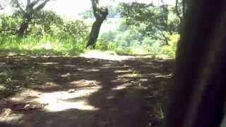 Wheel perspective in the path made specialy  for the MTB Cross Country Race