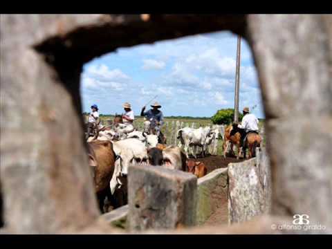 FG Llano y Costumbre - Cheo Hernández Prisco