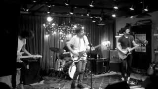 White Violet - Weighs live