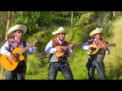 Nueva Esperanza - Padre Bendito estreno 2022 4K