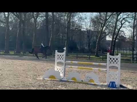 Kocaine Saveniere (CORICO Z x CANTUS) - Video 4 video thumbnail