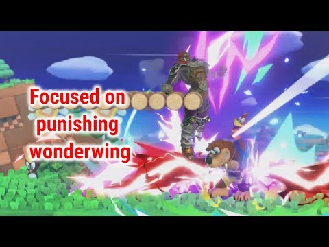 Focused on punishing wonderwing