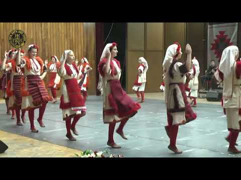 AKUD Mirce Acev - Tresenica (Children's folk dance)