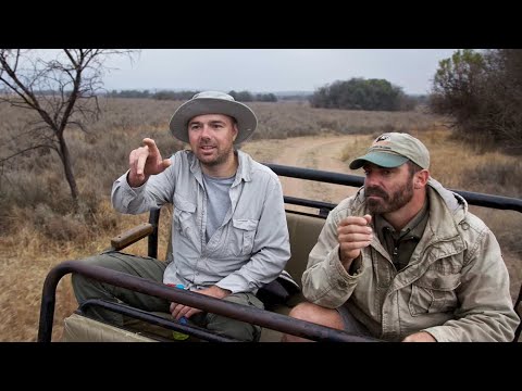 Karl Pilkington An Idiot Abroad MEET A GORILLA S2 E5 (2011)