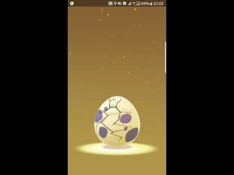 Pokémon GO 9 Ovos de 10 Km 2 Dratini, 2 Gligar, Larvitar e Aerodactyl