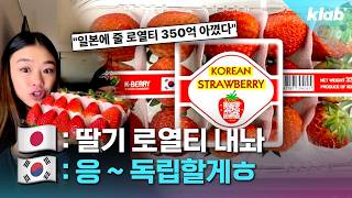 수상할 정도로 딸기에 진심인 나라｜크랩