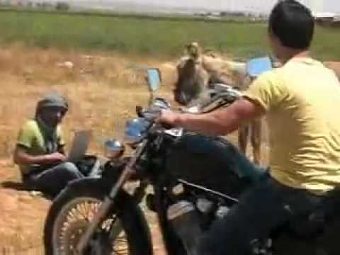 Assyrian Halmon - Aiman & Rojeh.mp4