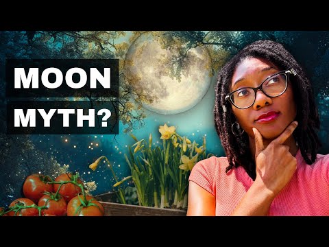 Does Planting by the Moon Actually Work? | Lunar Gardening Deep Dive