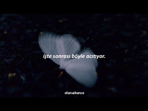 coldplay & selena gomez - let somebody go (türkçe çeviri)