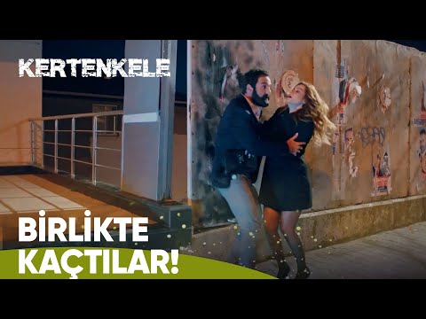 Zehra ve Ziya'nın ortak işbirliği kaçışı! - Kertenkele 28. Bölüm