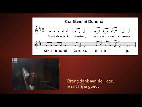 Confitemini Domino - Taize