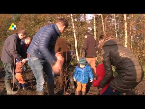 Babyboomplanting Dessel