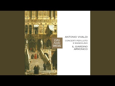 Concerto for Two Violins in tromba marina in C Major, RV 558: I. Allegro molto