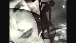 The Sneetches - Flying on the Ground