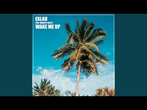 Wake Me Up