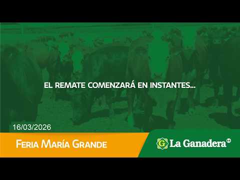 Remate de Hacienda Coop. LA GANADERA -  Gral. Ramírez -  Lunes 16 de Febrero de 2026.