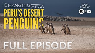 Peru&#39;s Desert Penguins | Full Episode