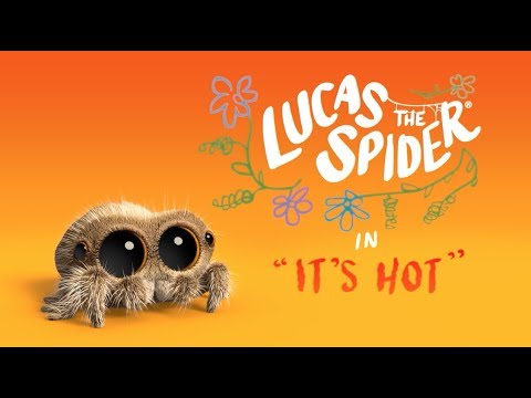 How Lucas the Spider Keeps Cool in Summer