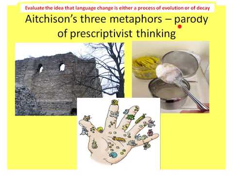 Variationist Theory: Unpacking the Dynamics of Language Change