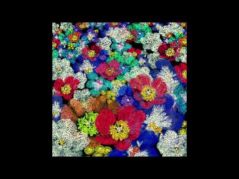 Toivon Kärki - Uuden edessä (lyrics)