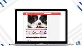 Пример размещения в Native Rent