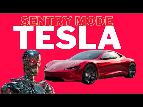 TESLA shows COOL New FEATURES! SENTRY MODE and TRIP PLANNER
