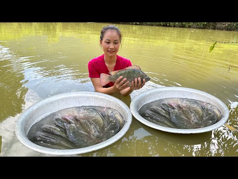 Harvesting fish Go to the market to sell, make a climbing rig for the loofah | Hoang Huong