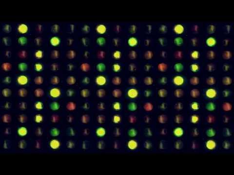 Club Visuals 462 - Free background video hd