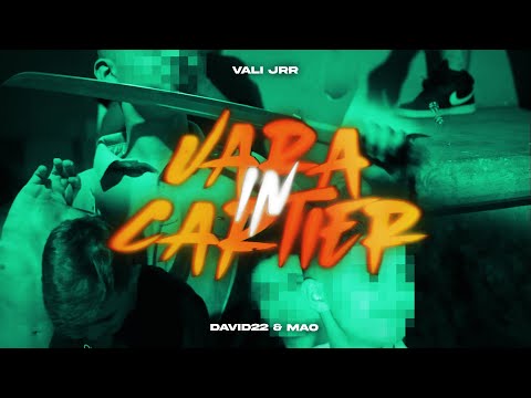 Vali Jrr - Vara in cartier (feat. David22 , Mao) [Official Music Video]