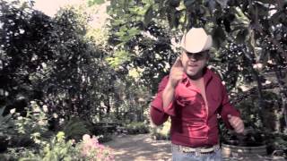 Conjunto Atardecer   Te Veré Como Me Ves