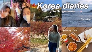 KOREA VLOG 🍁 Fall trip to Gangwon-do with friends: autumn foliage, Korean food, sunrise in Gangneung