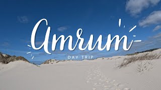 世界遺産ワッデン海に浮かぶ島　アムルム島　＊　Amrum - an Island on a World Heritage Wadden Sea