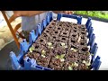 Making Soil Blocks:  #1 Method For Starting Seeds (w/ Jim Kovaleski)