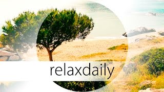 Soft & Peaceful Instrumental Music - light, calm - N°044 (4K)