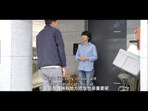 The Woman Who Ran | 2020 | "Stray Cats"