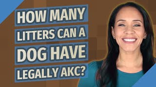How many litters can a dog have legally AKC?
