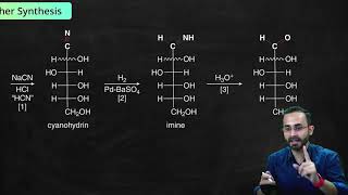 Biomolecules - L3