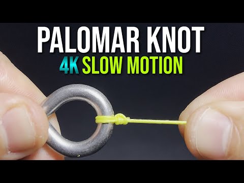 How to Tie a PALOMAR KNOT! | "Knot Easy!" Series | Fishing Knot Tutorial
