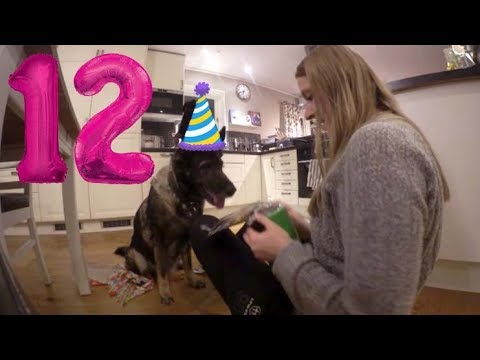 Klart hon ska få födelsedagspresent! | vlogg