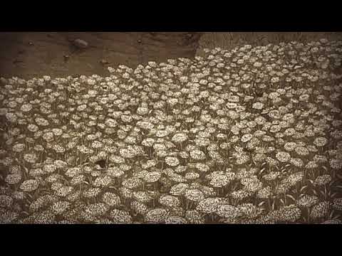 Shingeki no kyojin-ending 4 full-season 3