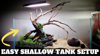 SHALLOW TANK LAVA ROCK AQUARIUM SETUP - BETTA FISH, NORMAN'S LAMPEYE KILLIFISH, RED CHERRY SHRIMPS