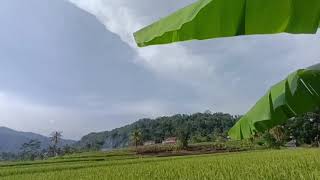 Download lagu DANGDUT LAWAS TERBAIK MEGGY Z FUL ALBUM mp3 Download lagu DANGDUT LAWAS TERBAIK MEGGY Z FUL ALBUM mp3