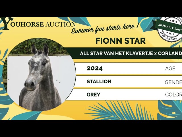 Fionn Star