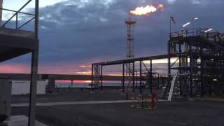 Kaija Koo, Nää yöt ei anna armoo (feat. Cheek) - Single